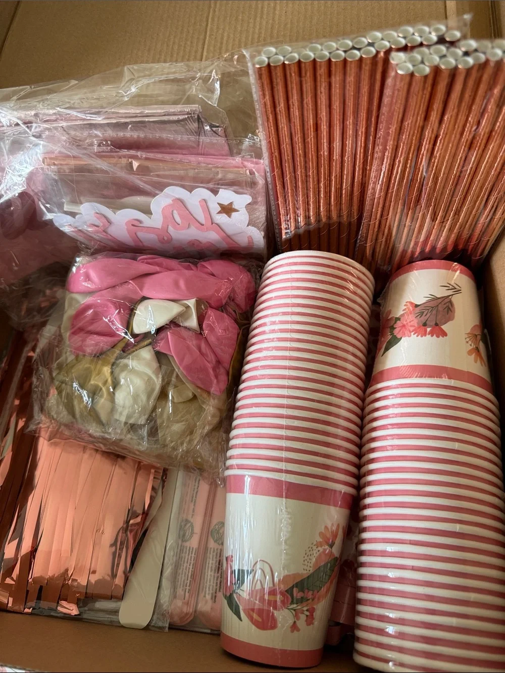 301 Pc Baby Girl Shower Party Decorations - 50 Guests
